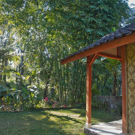 Tereng Wilis Jungle Inn Tetebatu Exterior photo