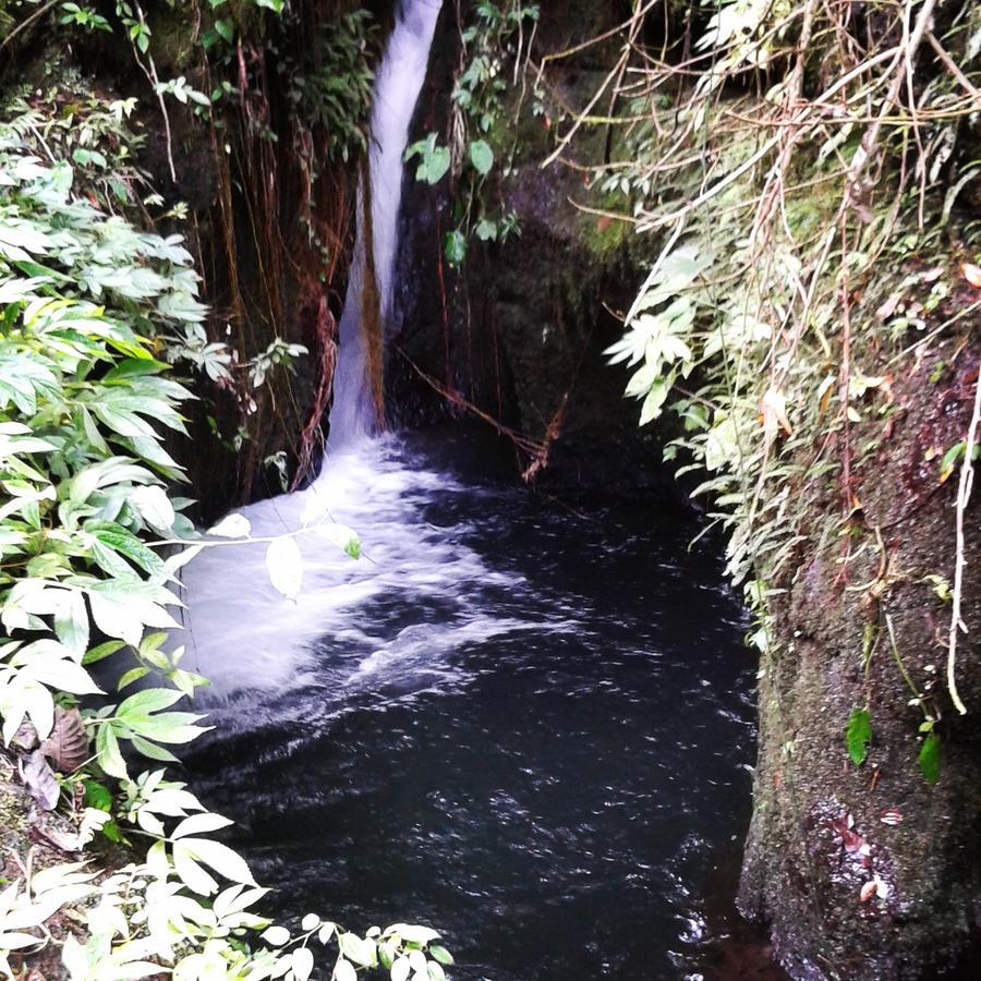 Tereng Wilis Jungle Inn Tetebatu Exterior photo