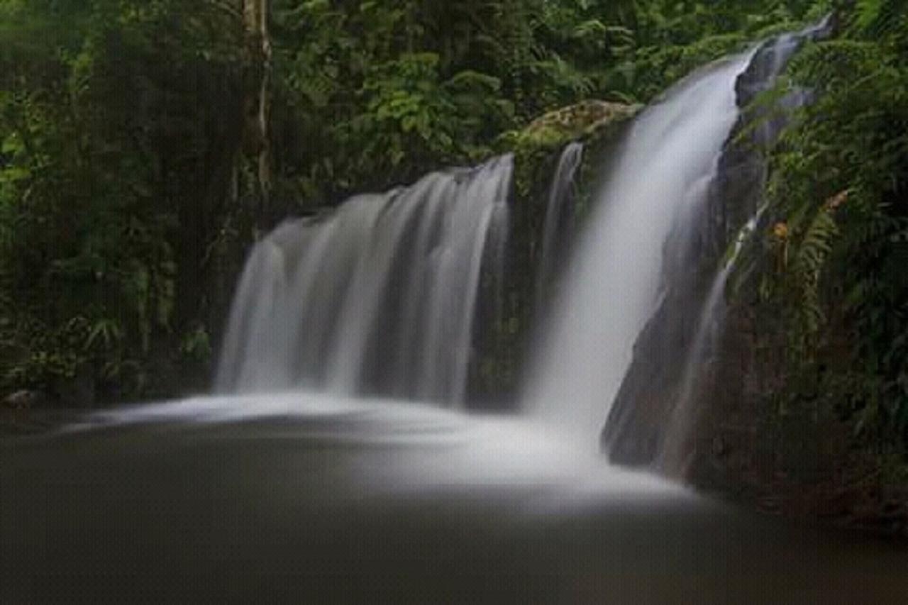 Tereng Wilis Jungle Inn Tetebatu Exterior photo