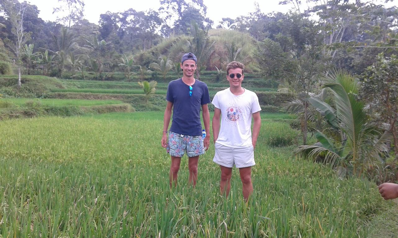Tereng Wilis Jungle Inn Tetebatu Exterior photo