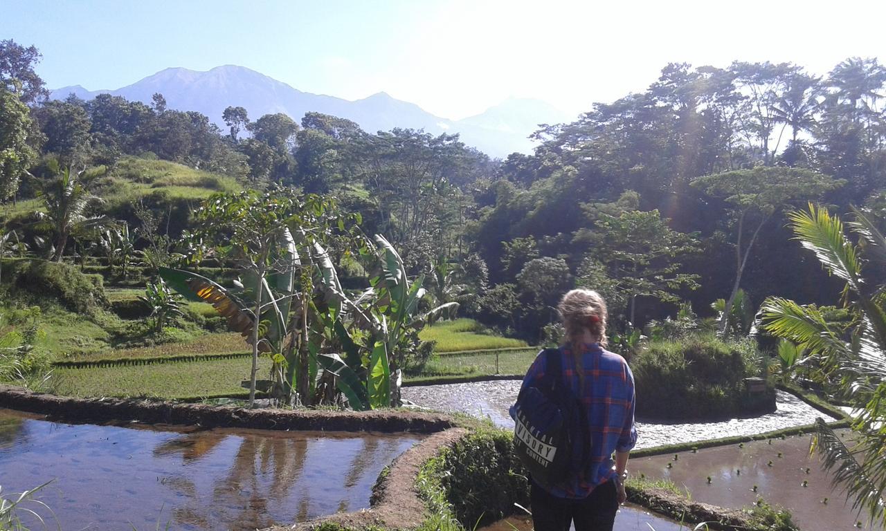 Tereng Wilis Jungle Inn Tetebatu Exterior photo