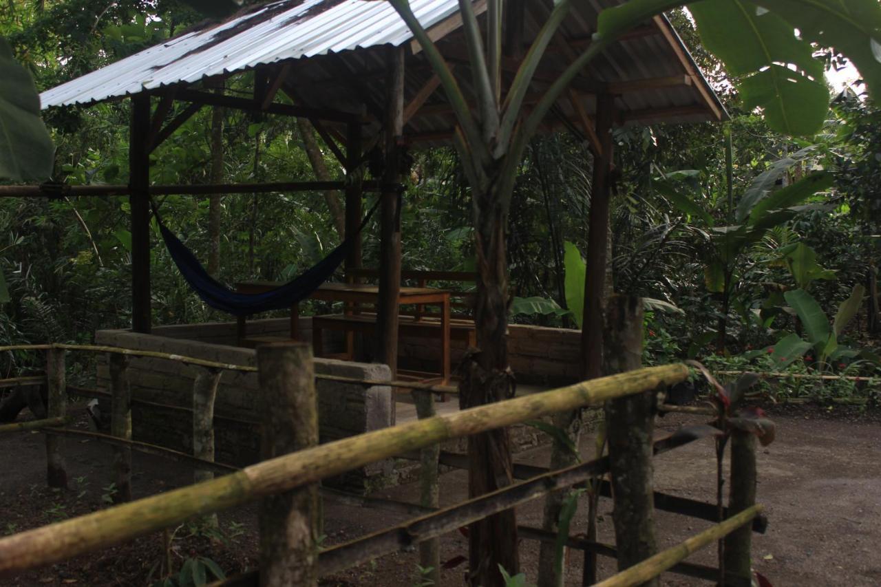 Tereng Wilis Jungle Inn Tetebatu Exterior photo