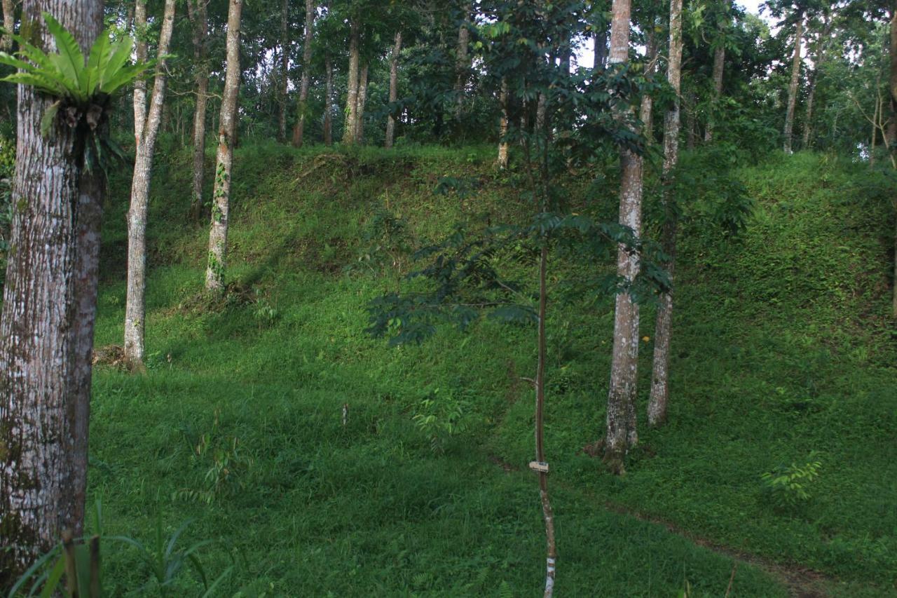 Tereng Wilis Jungle Inn Tetebatu Exterior photo