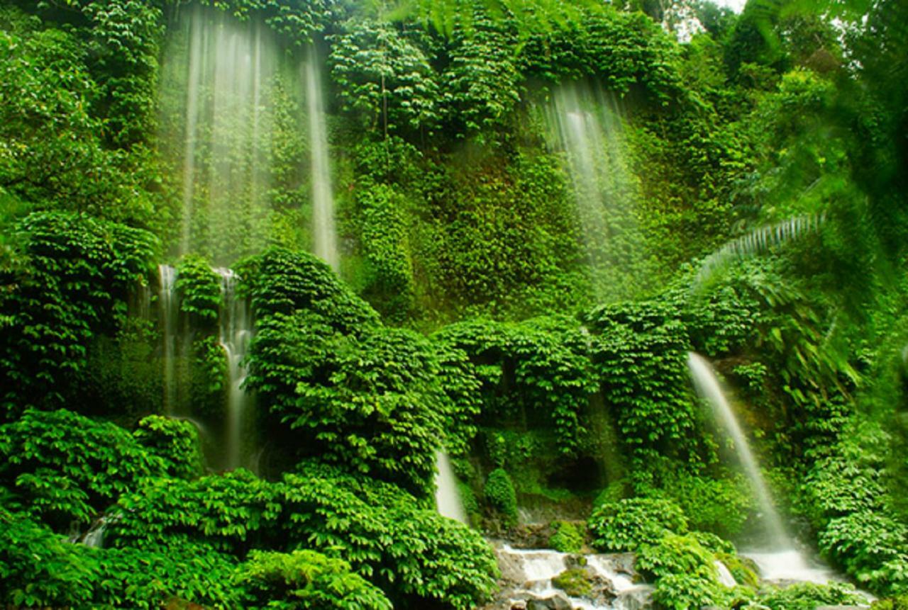 Tereng Wilis Jungle Inn Tetebatu Exterior photo
