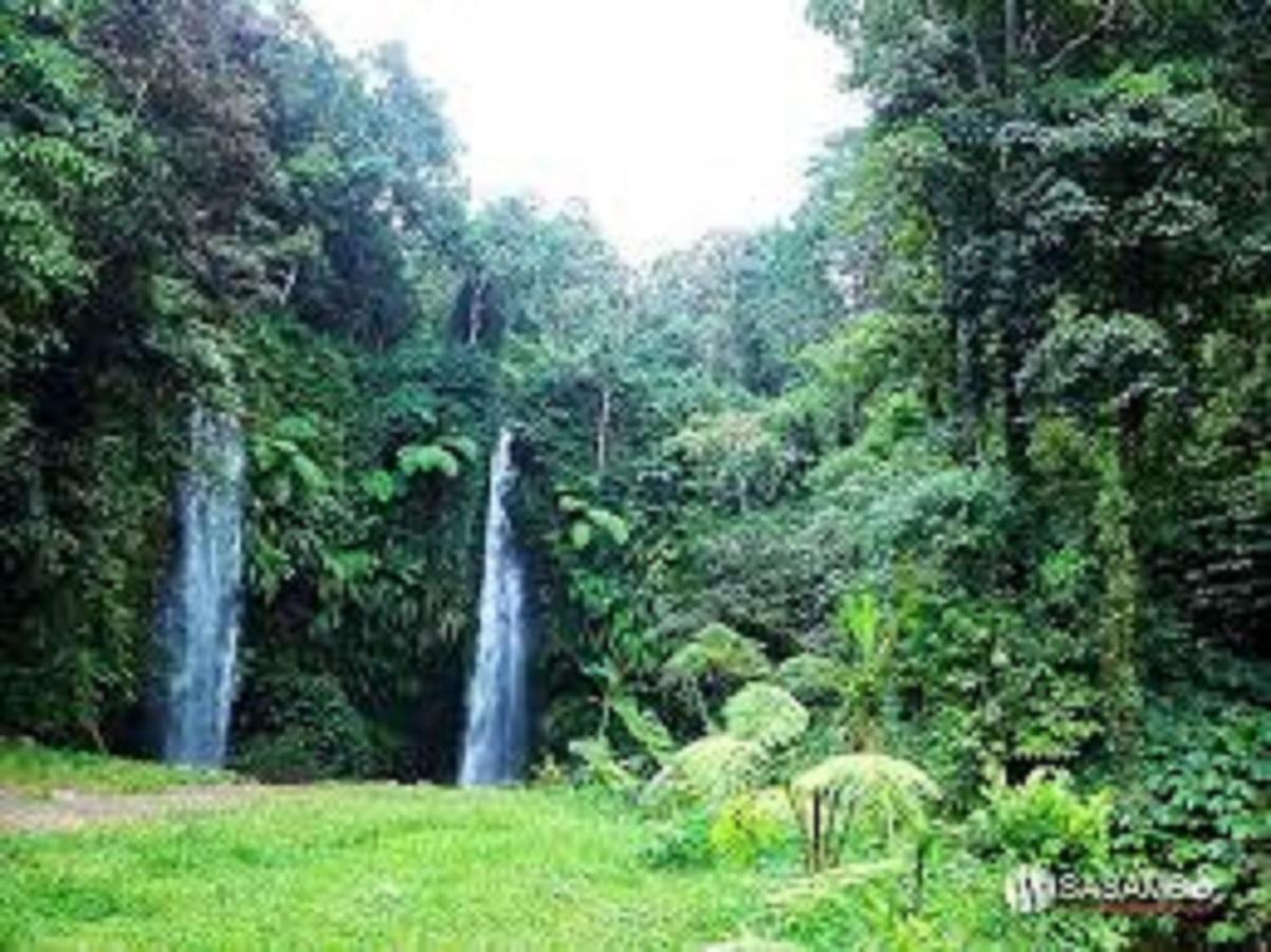 Tereng Wilis Jungle Inn Tetebatu Exterior photo
