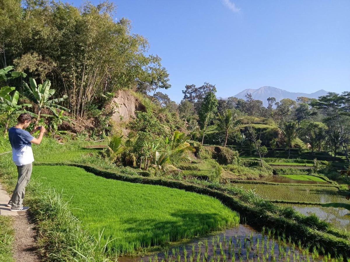 Tereng Wilis Jungle Inn Tetebatu Exterior photo
