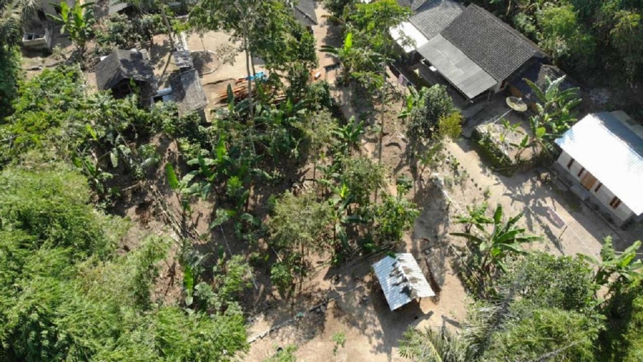 Tereng Wilis Jungle Inn Tetebatu Exterior photo